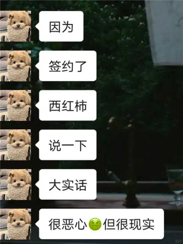 因为签约了西红柿，说一下大实话很现实！