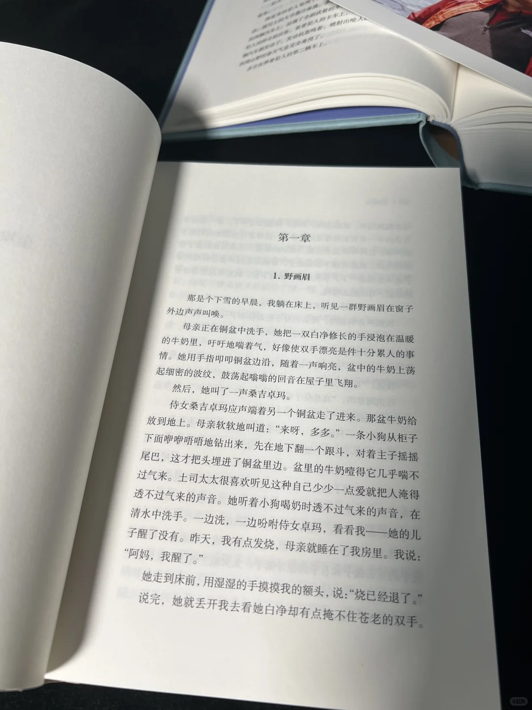 😭本本封神！我今年读到最好的文学小说！