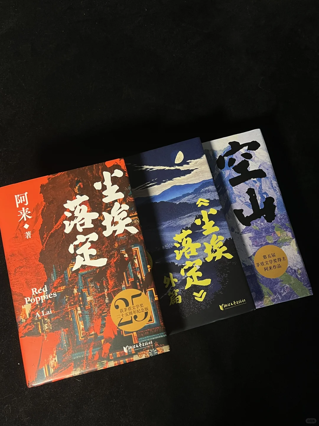 😭本本封神！我今年读到最好的文学小说！