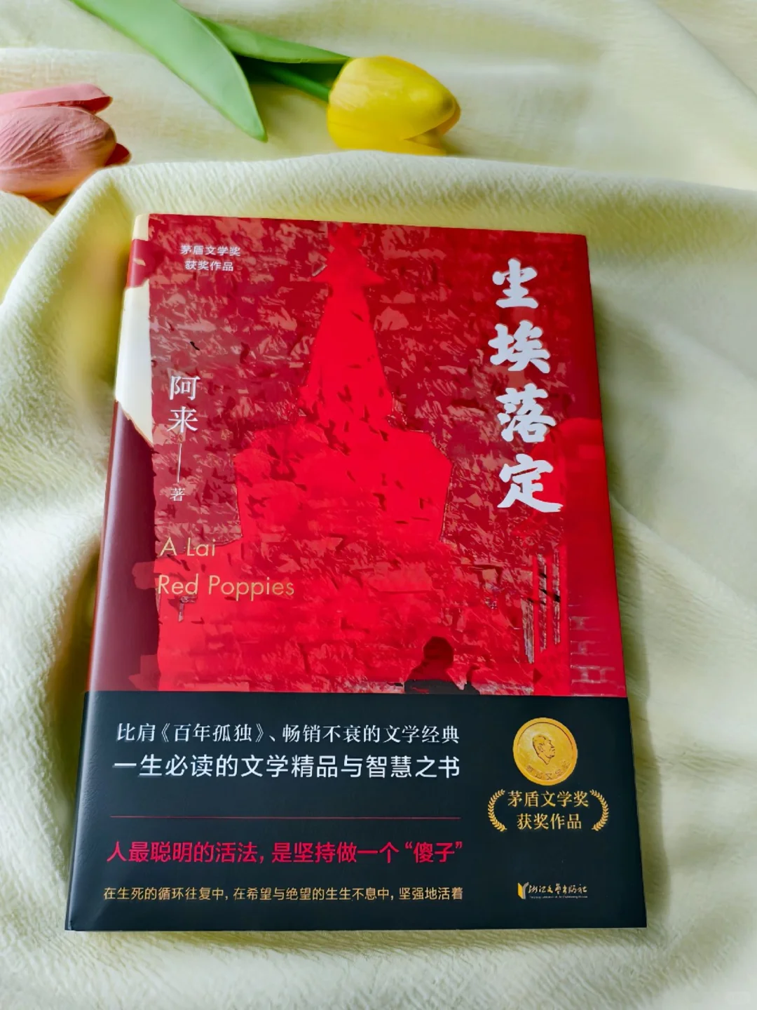 尘埃落定，文学与智慧的碰撞！
