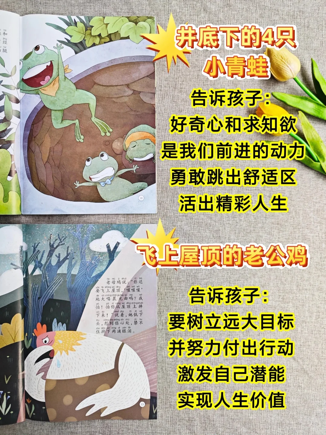 《中国名家获奖绘本》一套幼儿文学启蒙绘本。