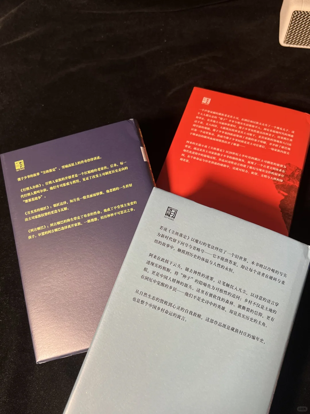 😭本本封神！我今年读到最好的文学小说！