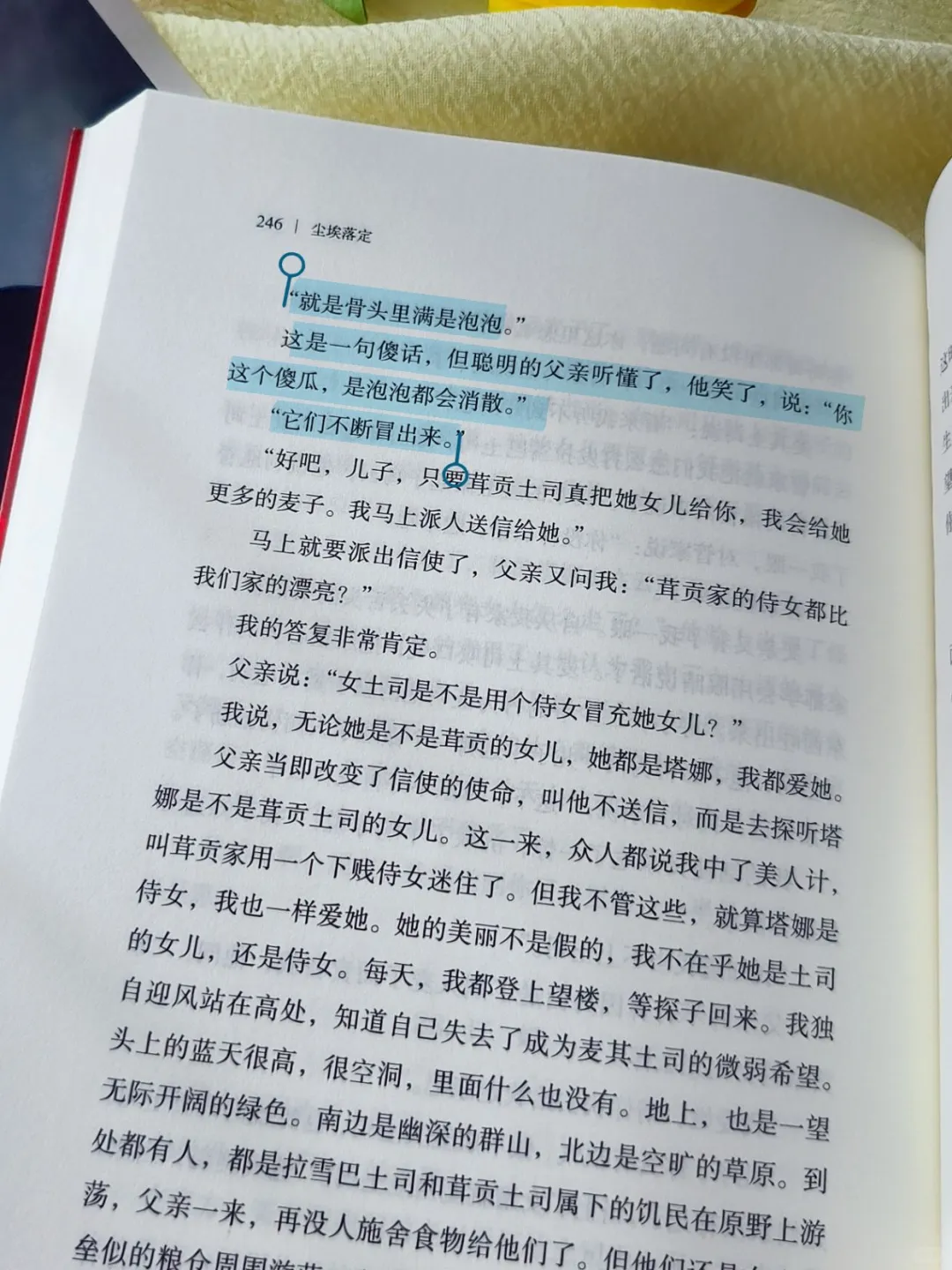 尘埃落定，文学与智慧的碰撞！