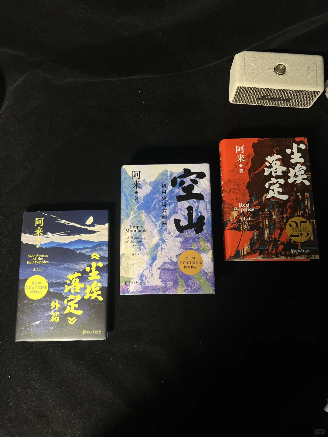 😭本本封神！我今年读到最好的文学小说！