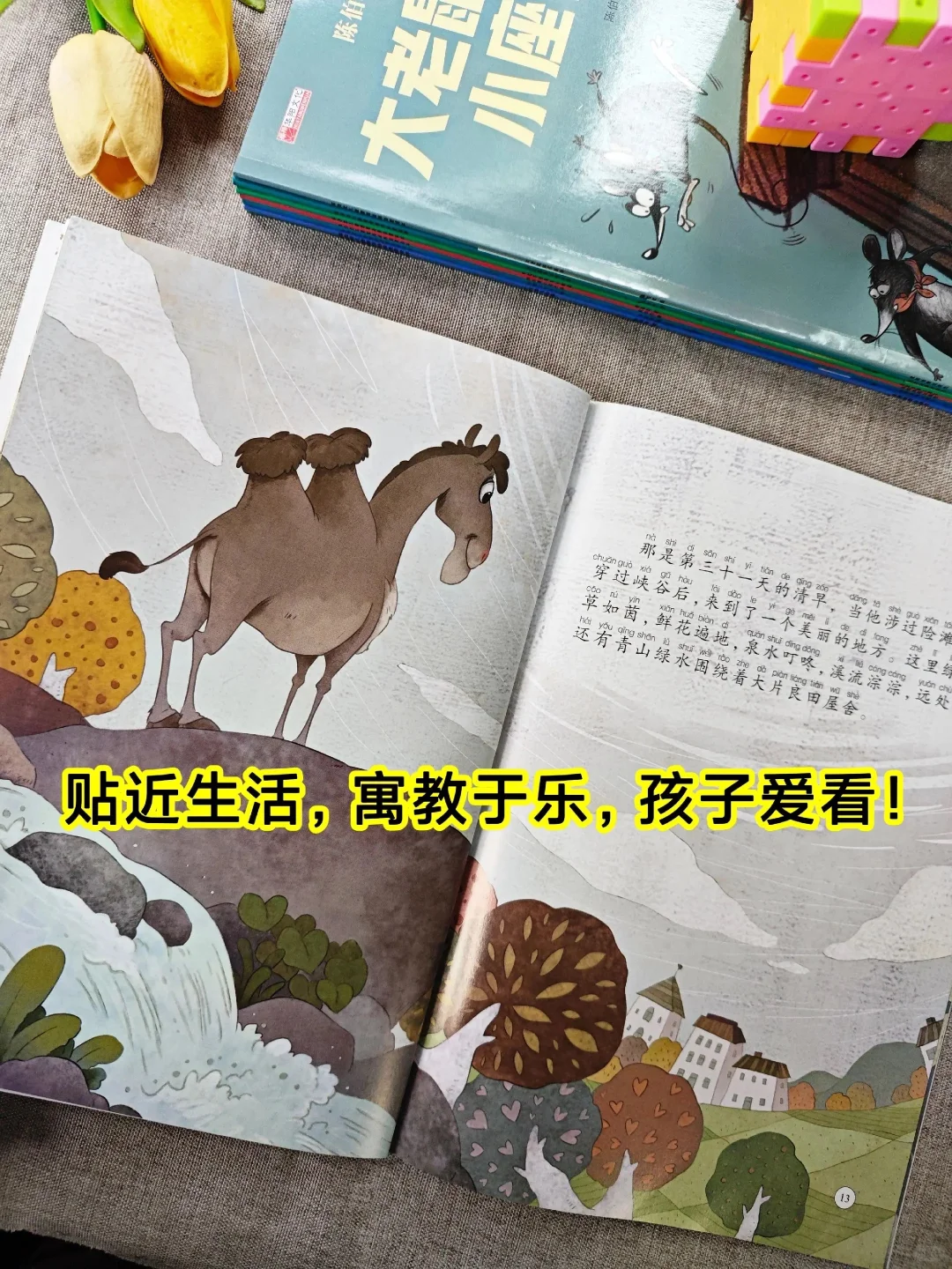 《中国名家获奖绘本》一套幼儿文学启蒙绘本。