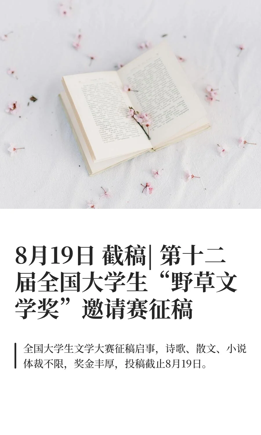 8月19日第十二届全国大学生野草文学奖