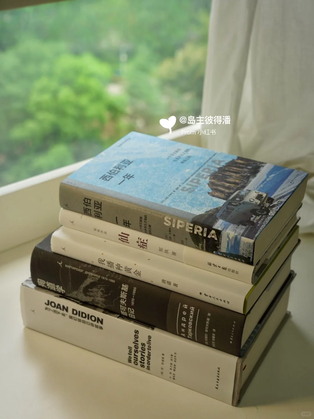 💙我的假期神仙书单已准备就绪