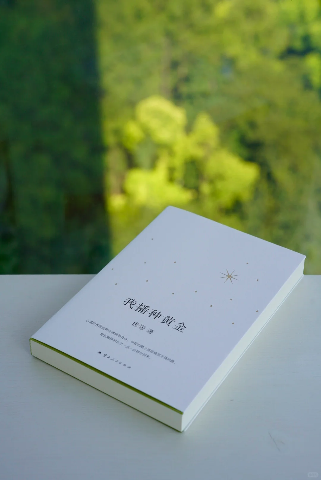 💙我的假期神仙书单已准备就绪