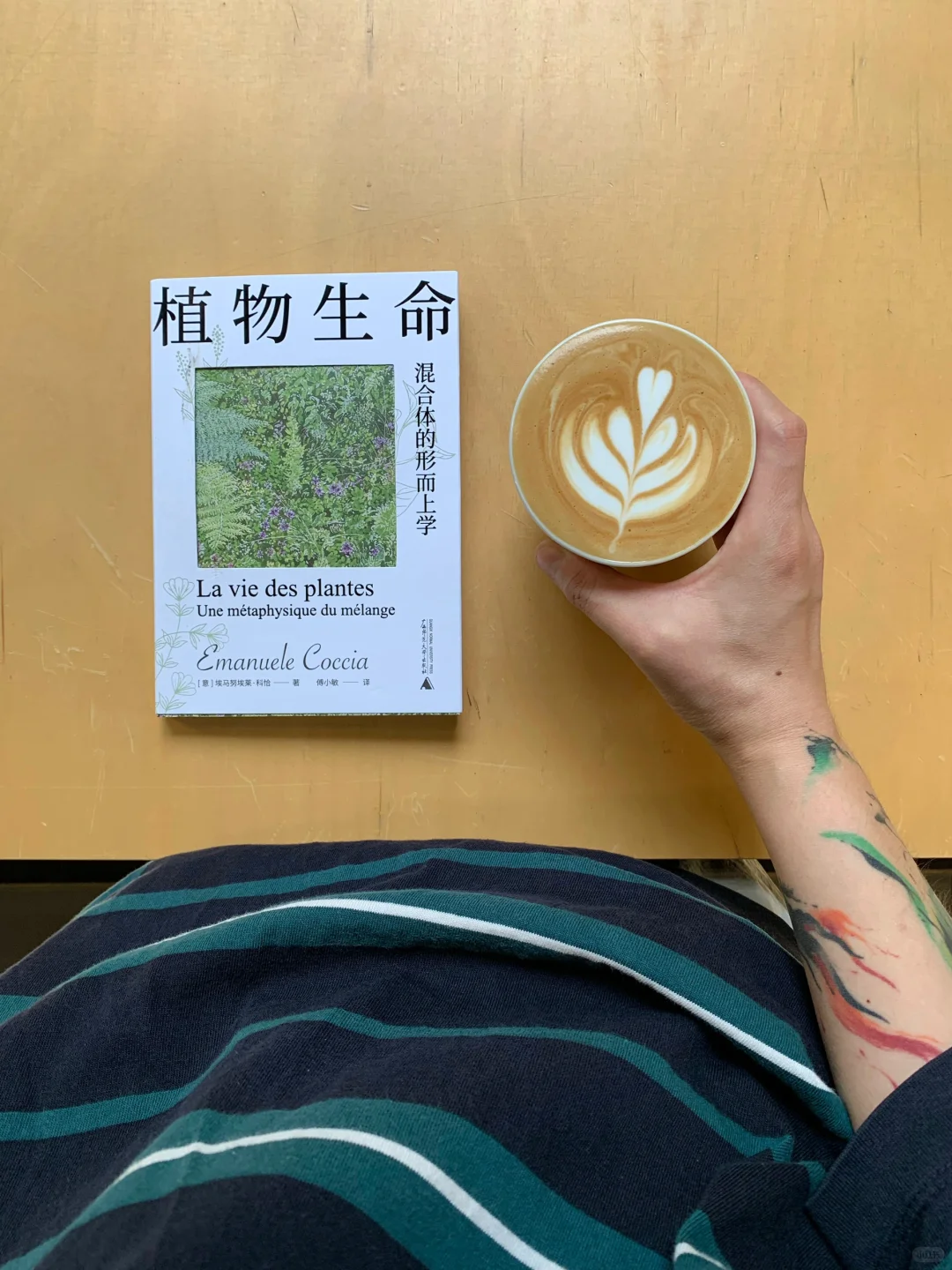 读写看|国庆节通勤书单「植物的哲学」