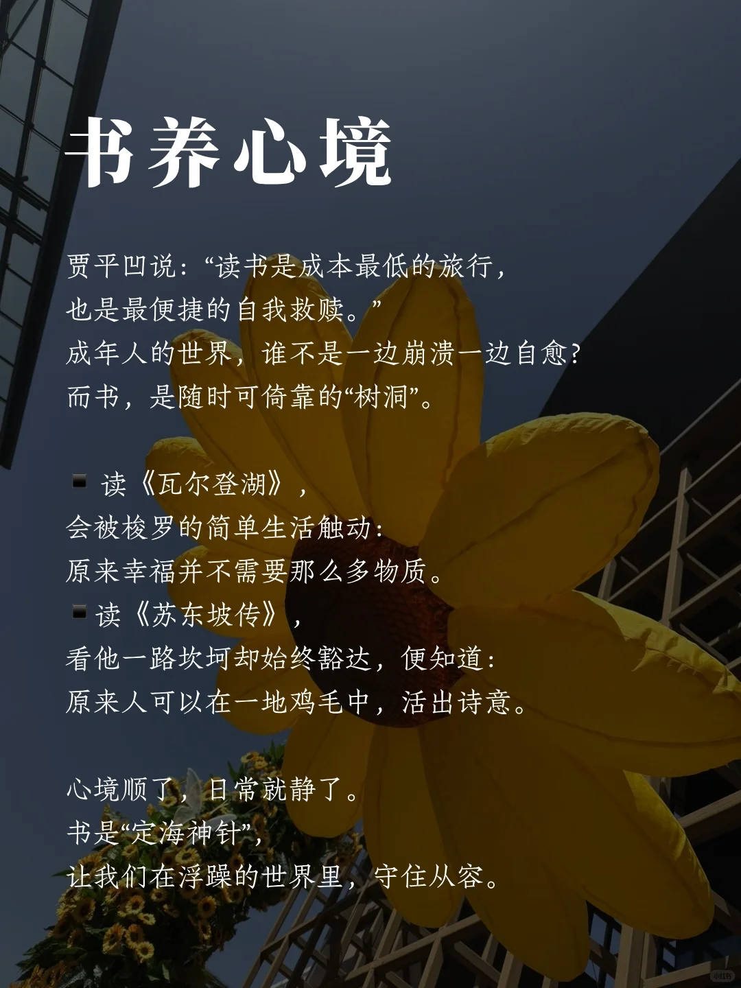 📖人至中年才发现：书，最养人！