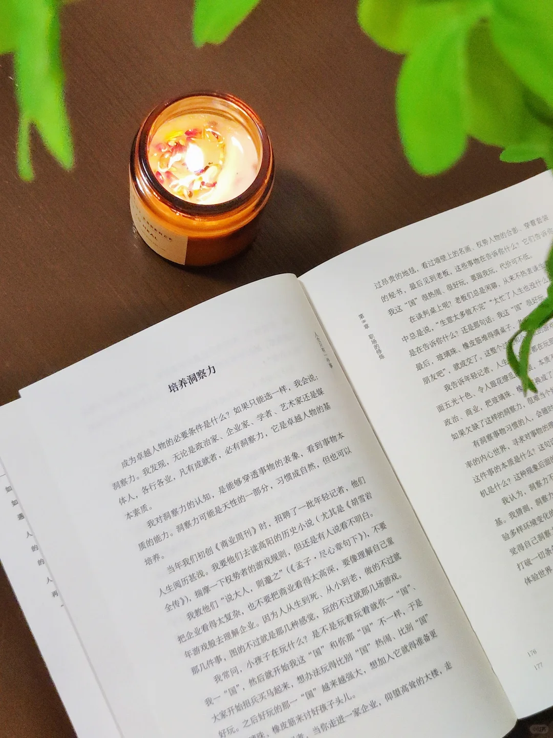 ✨新人博主Day 1｜允许自己粗糙的开始