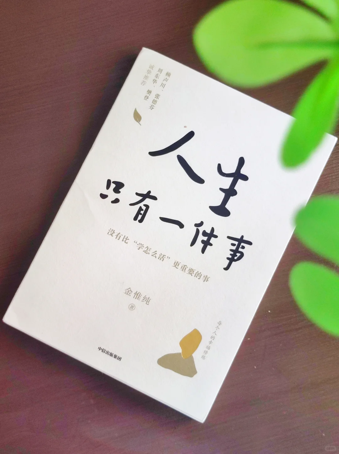 ✨新人博主Day 1｜允许自己粗糙的开始