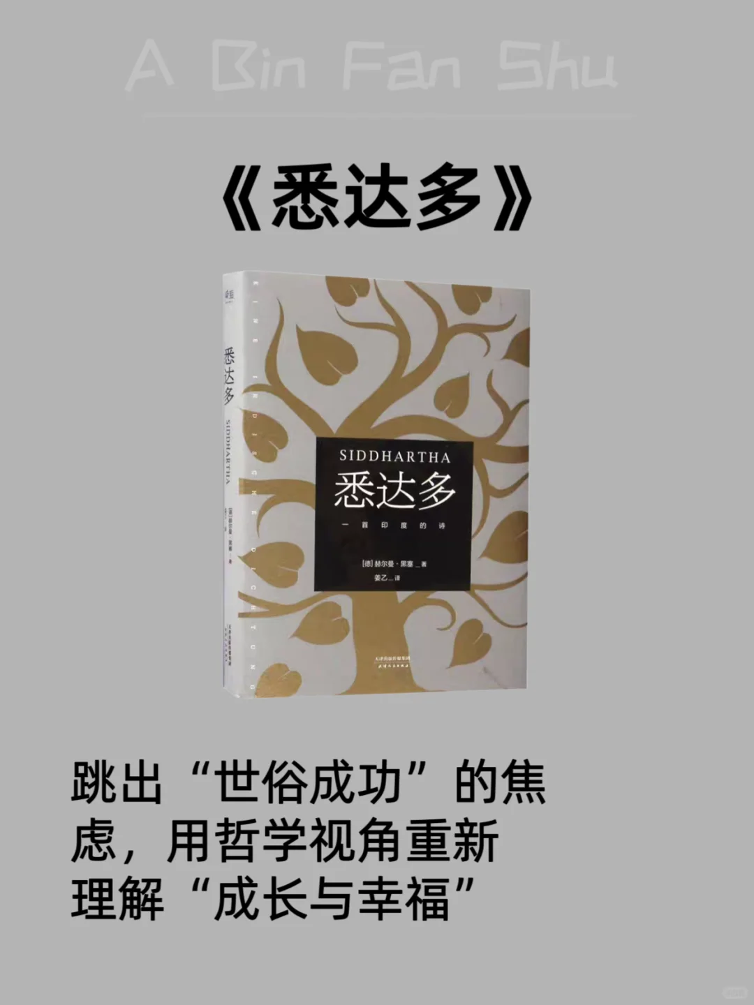 内核不稳的女生，读完这8本书直接开挂✨