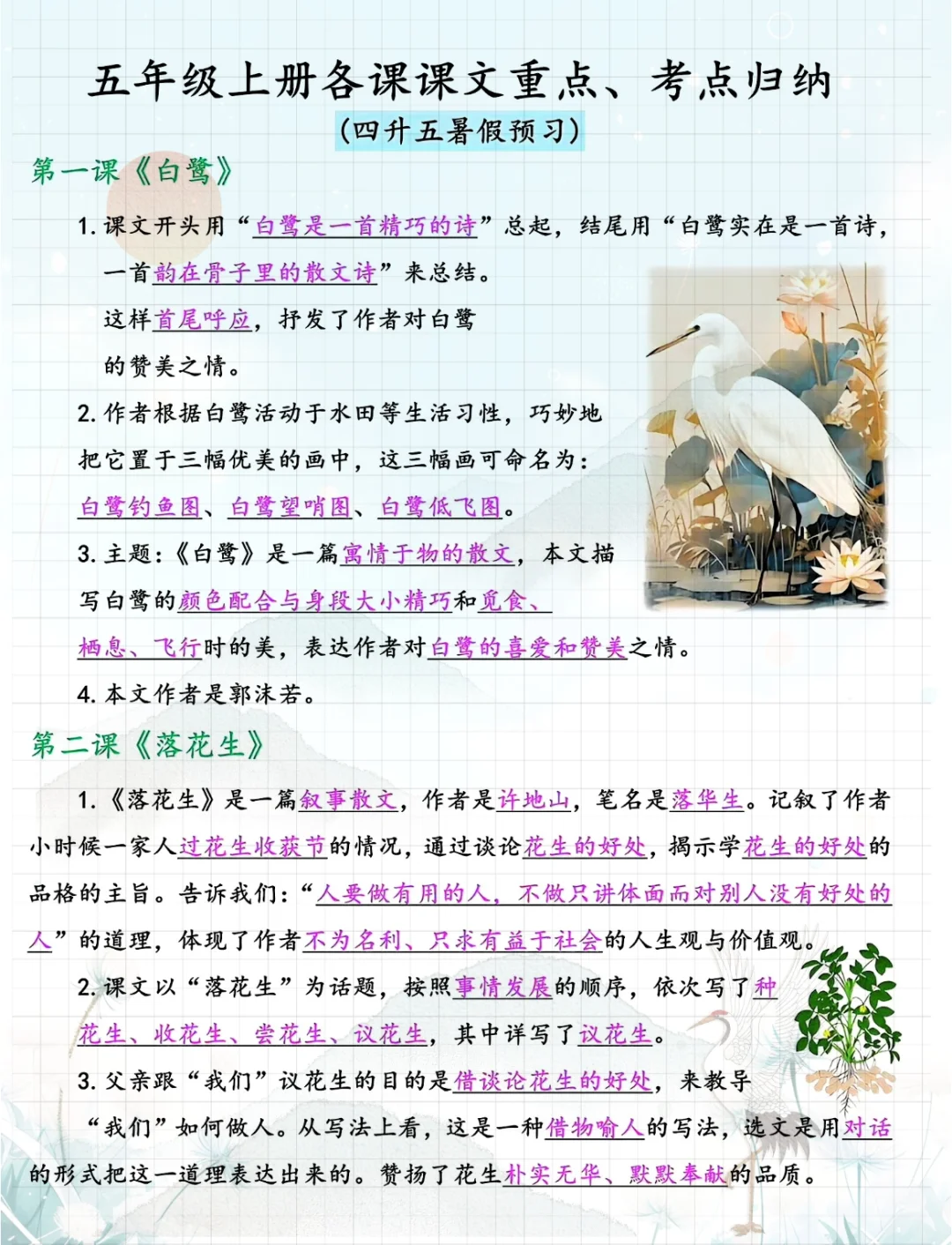 五年级上册语文四大名著必考知识点汇总🔥