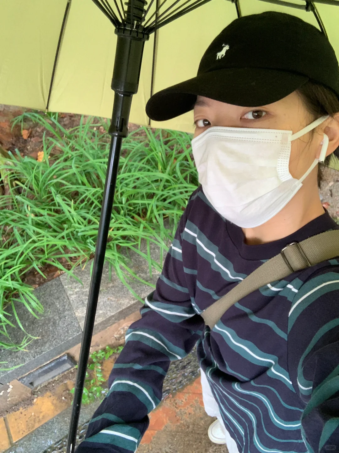 读写看|国庆节通勤书单「植物的哲学」