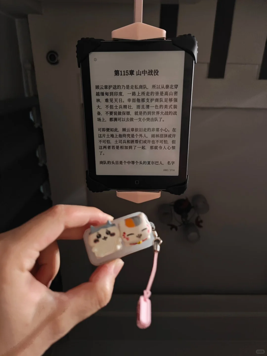 已实现躺平看书