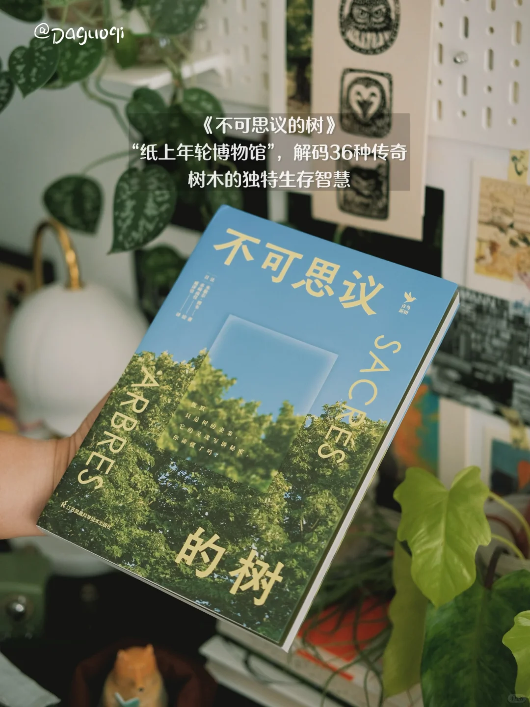 记录下最近收到的好书/新书留影👾
