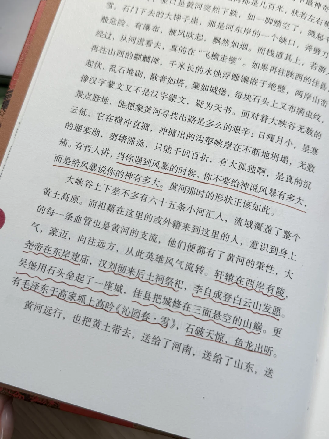 终于蹲到贾平凹的消息了！亲签！毛边！限量！