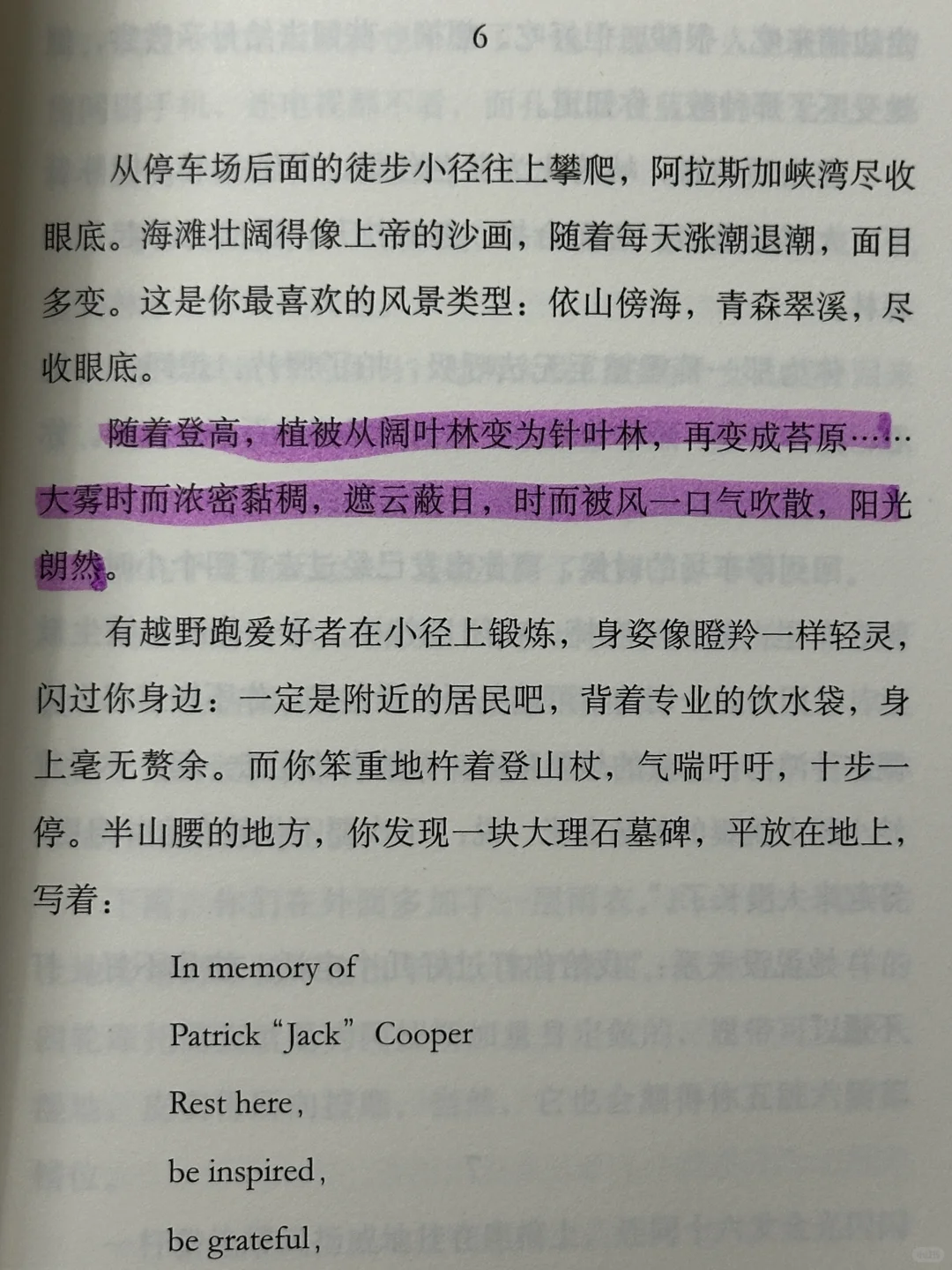 推荐一本新书（看完开悟那种🥺）