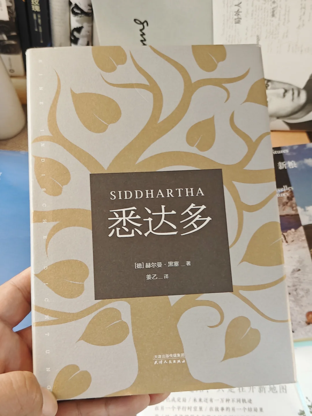 国庆假期书单:10本适合旅途或宅家阅读的书