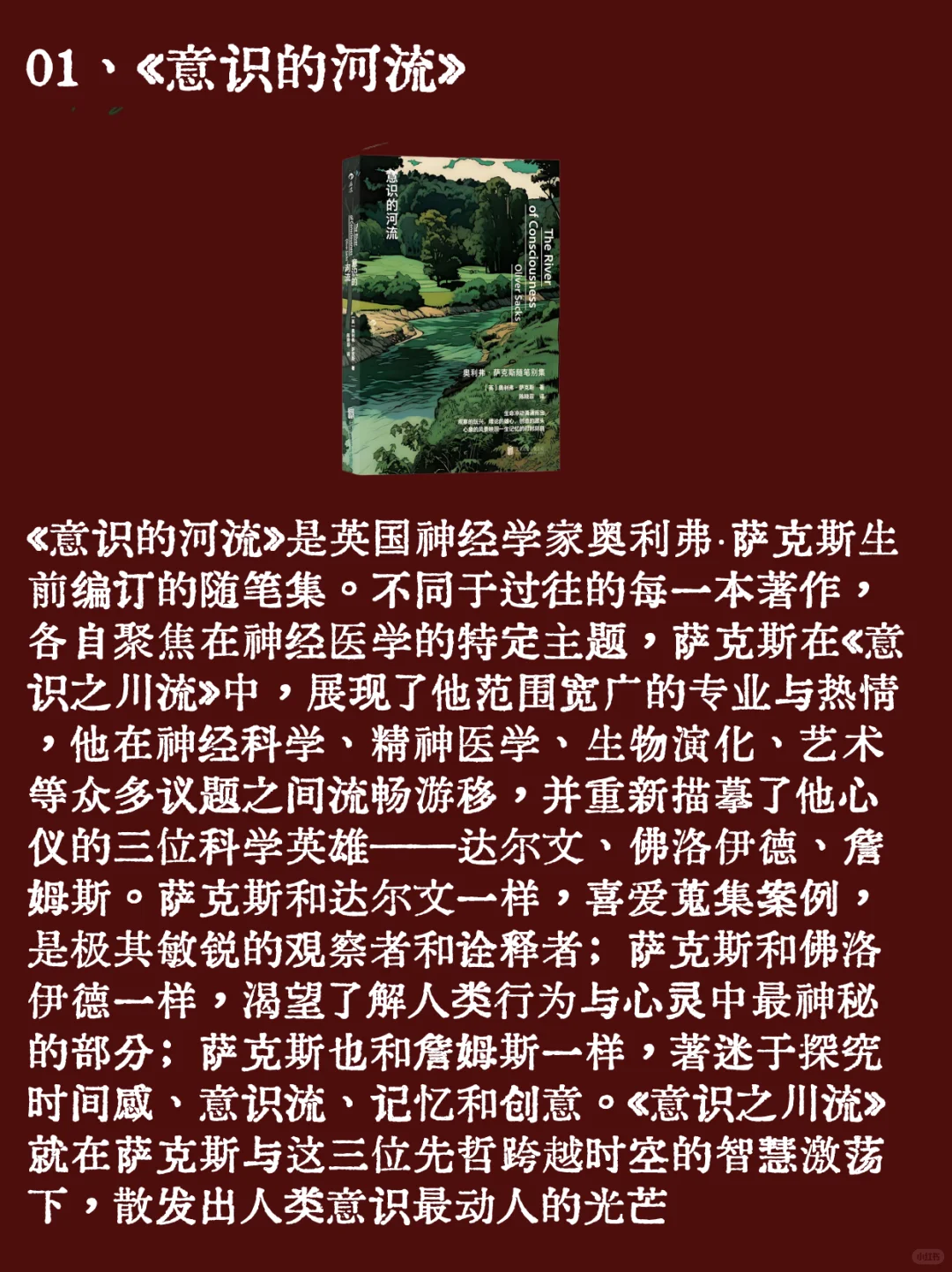 在车上读完的书籍：6本通勤小说推荐。