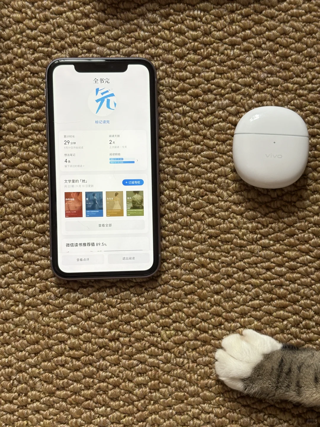 给看不进去书的人做的书单（😎30min一本）