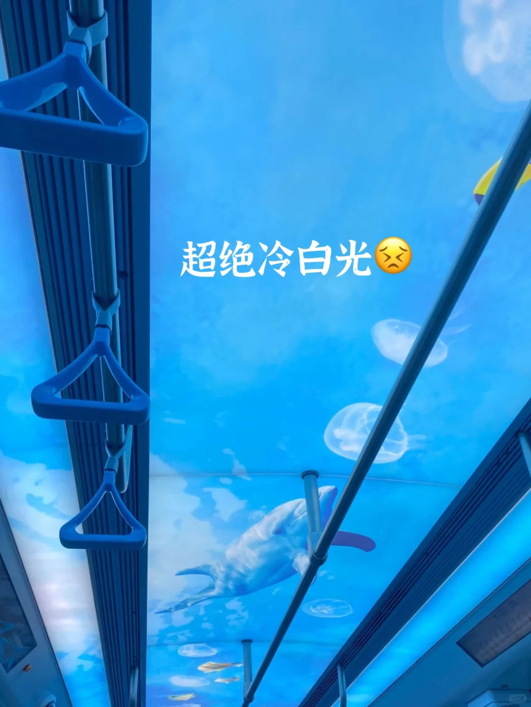 这就是我最最最——喜欢的通勤书！！！