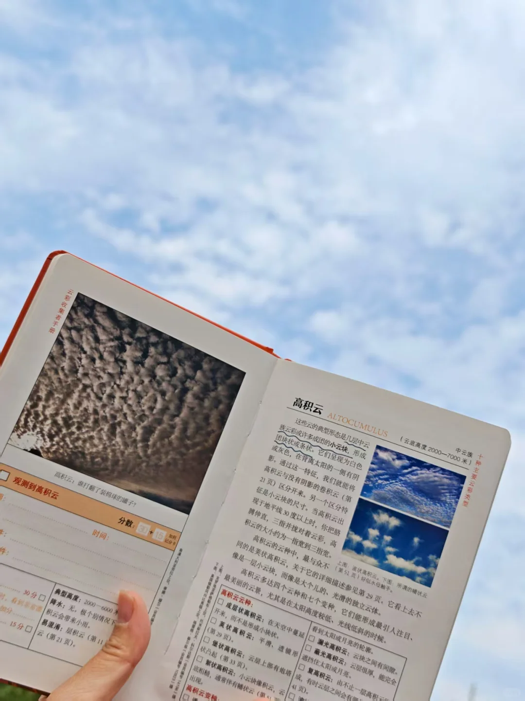 美丽书单/天空的美，云知道