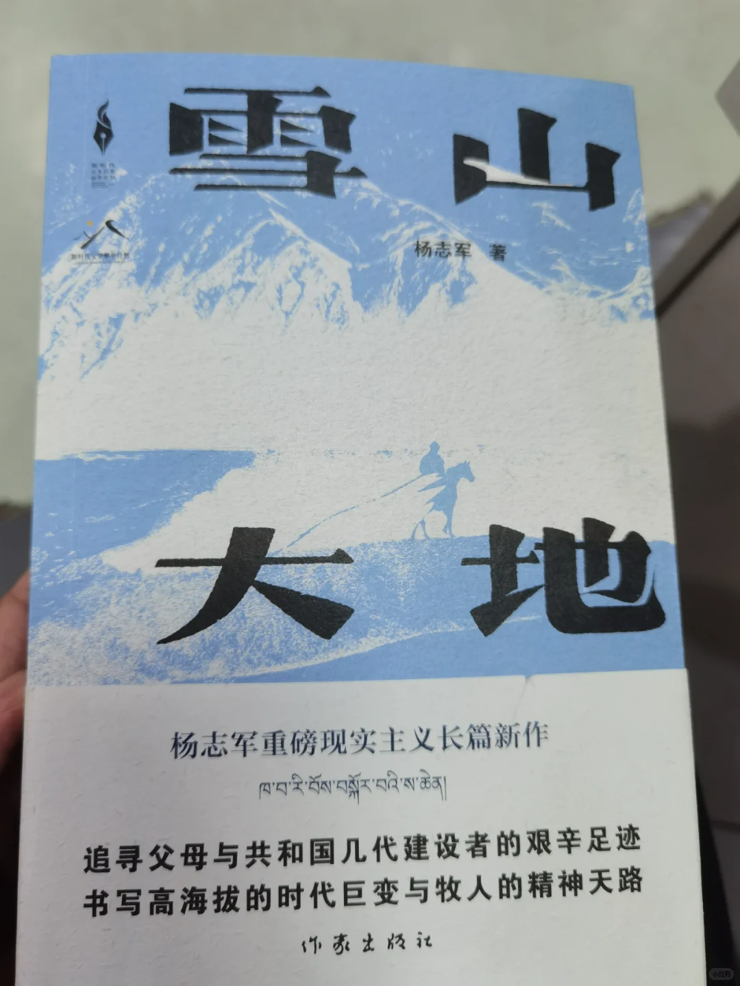 这届茅盾文学奖争议最多的几部作品