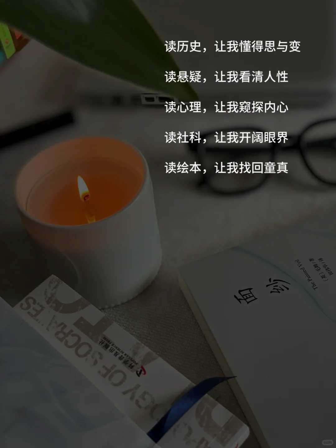 我不停的读书，为了理解自己的痛苦和来时路