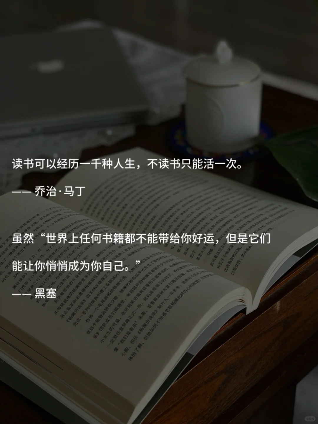 我不停的读书，为了理解自己的痛苦和来时路