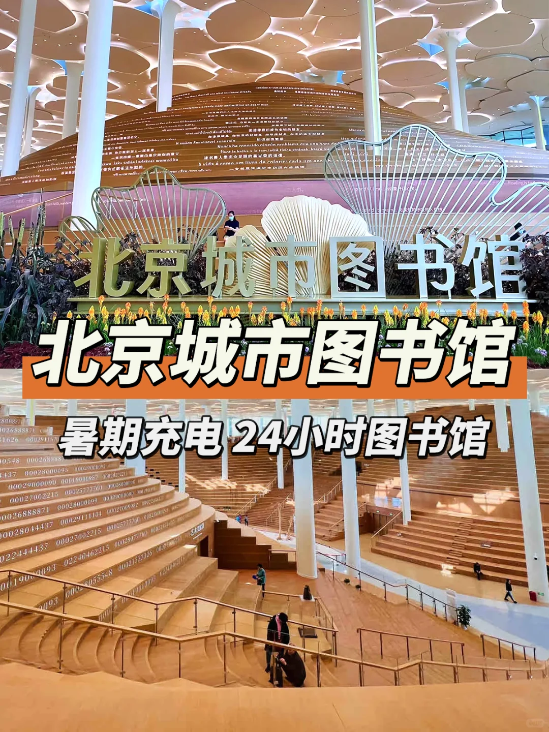为你寻找24小时图书馆—北京城市图书馆