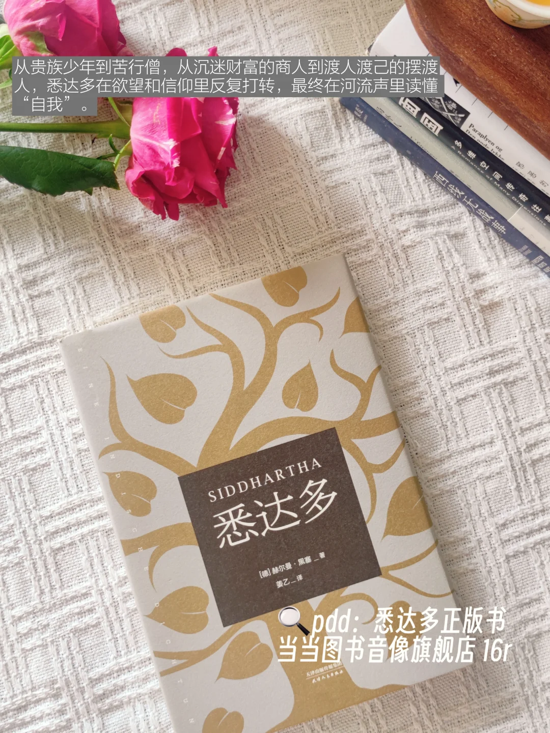通勤背包里的 5 本「精神避难所」