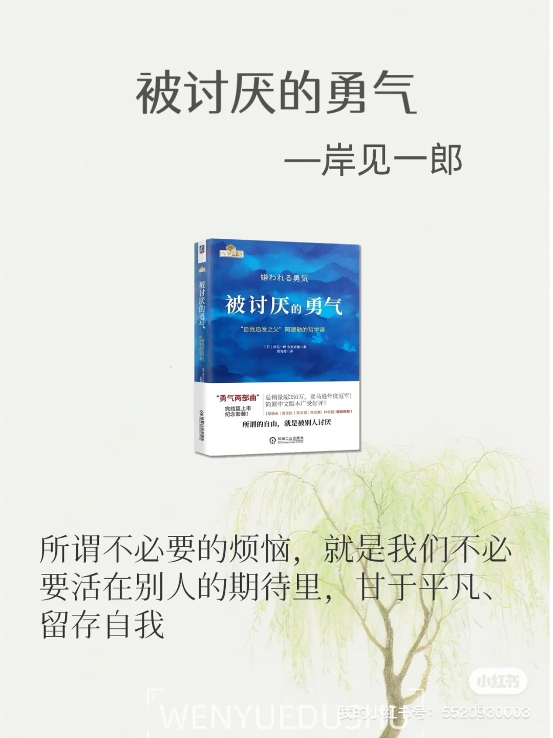 内核不稳的女生，读这6本书变得很哇塞🌷