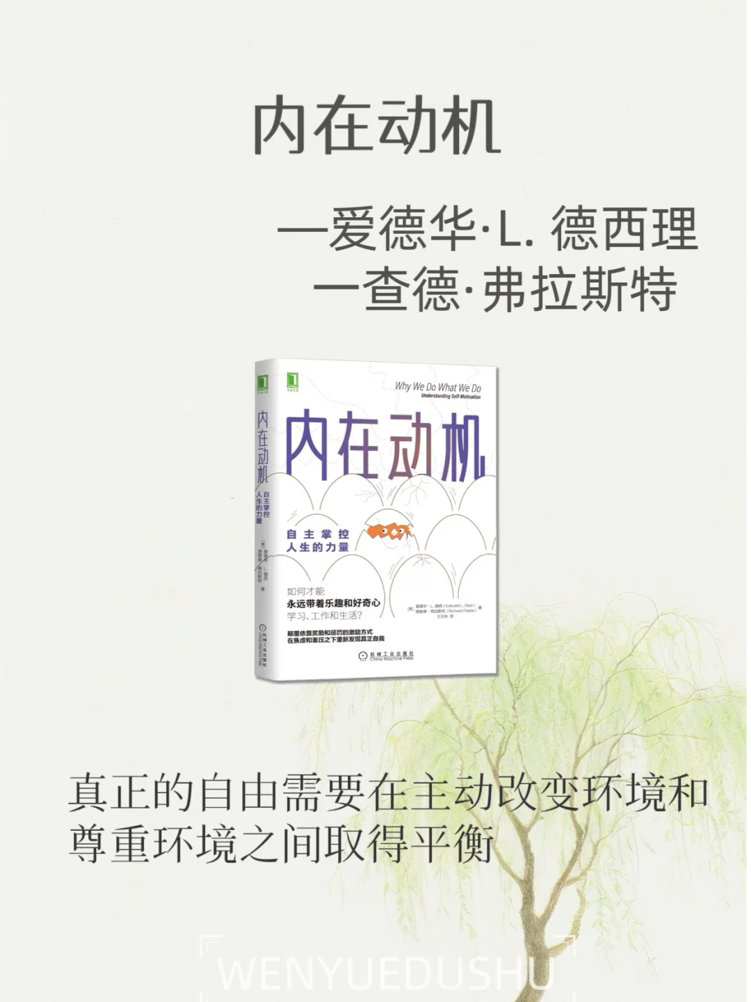 内核不稳的女生，读这6本书变得很哇塞🌷