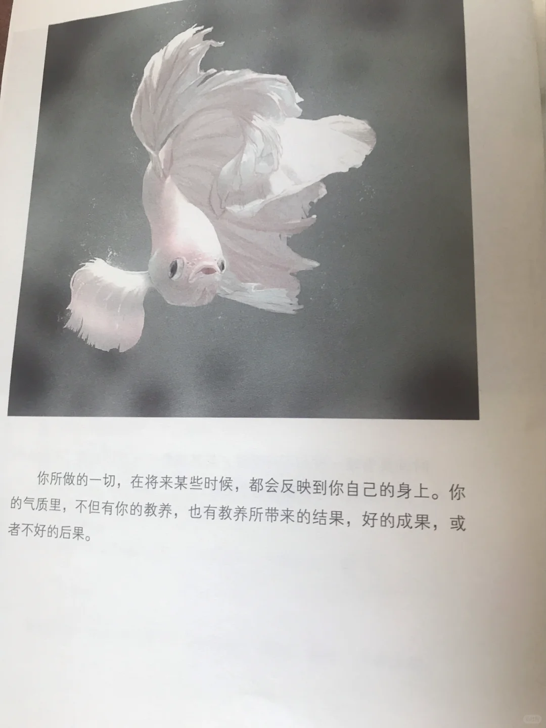 No.3励志书单｜《你有多自律，就有多自由》