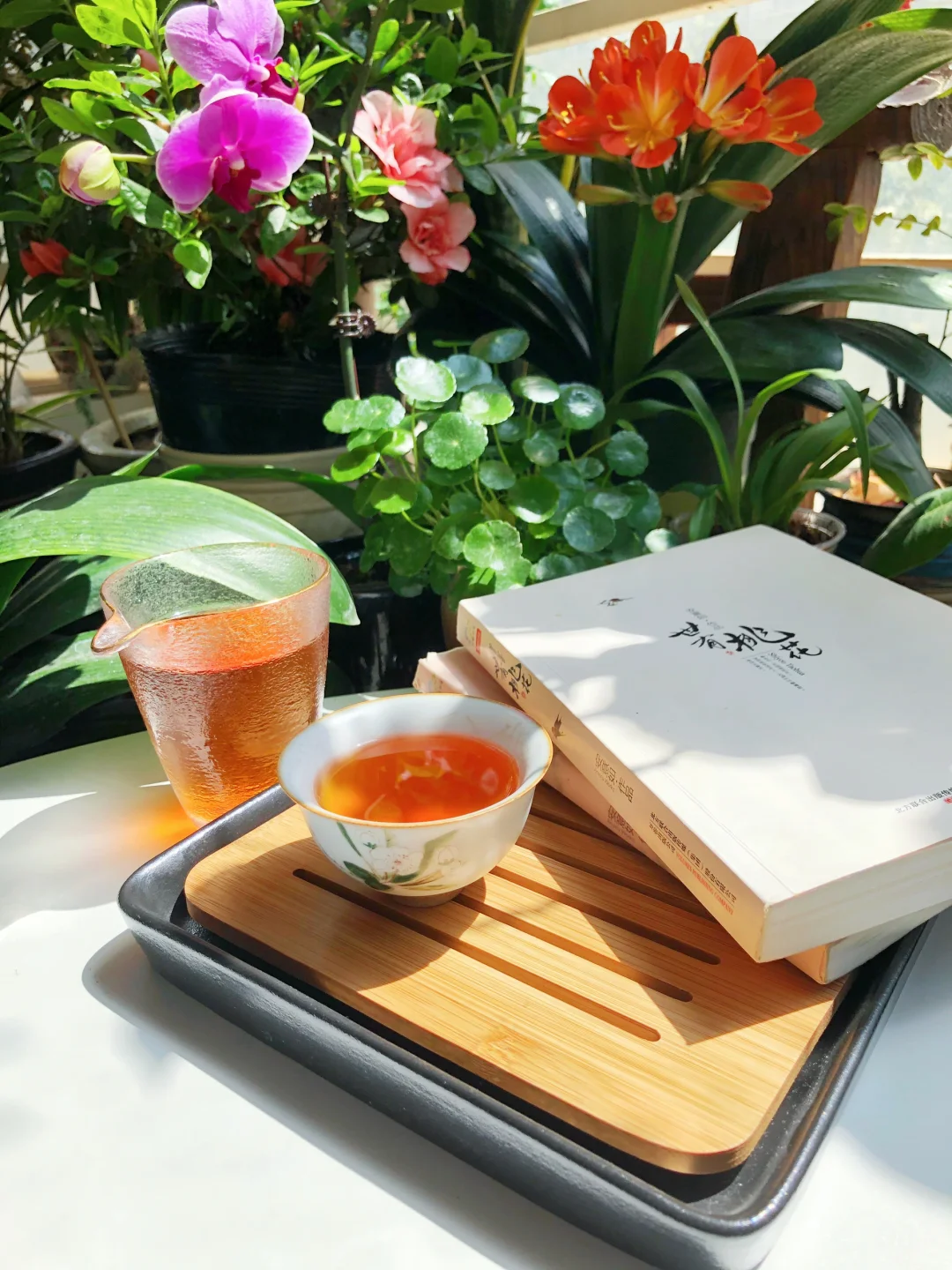生活/读书独处，给生活一片安静的净土