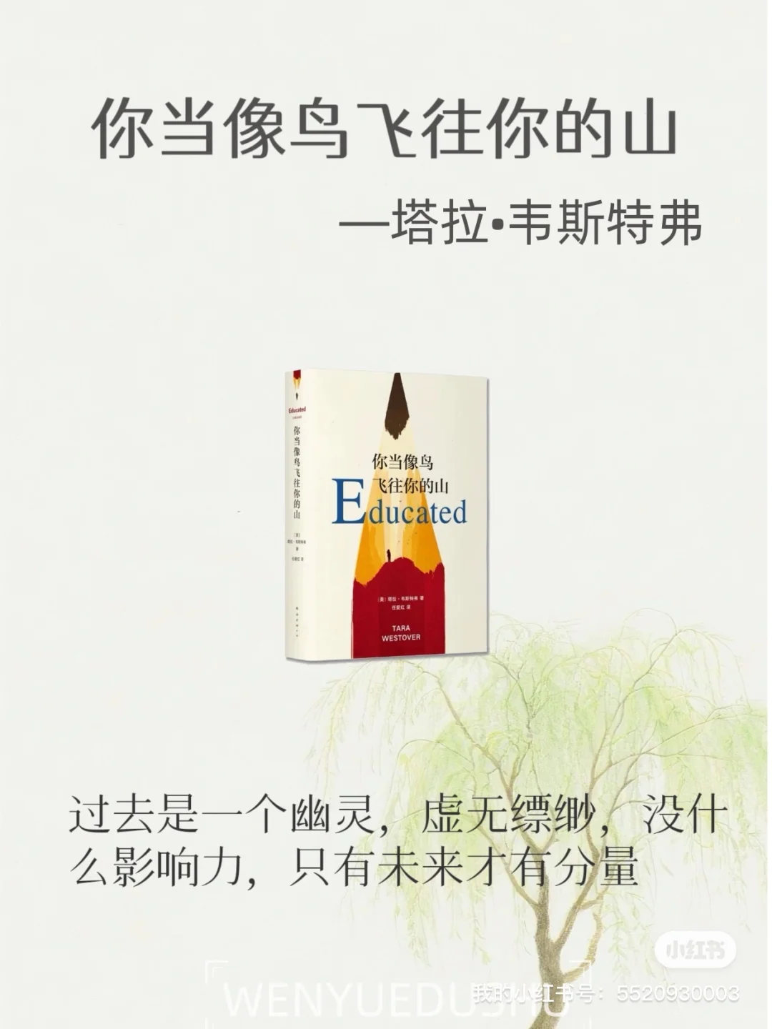 内核不稳的女生，读这6本书变得很哇塞🌷