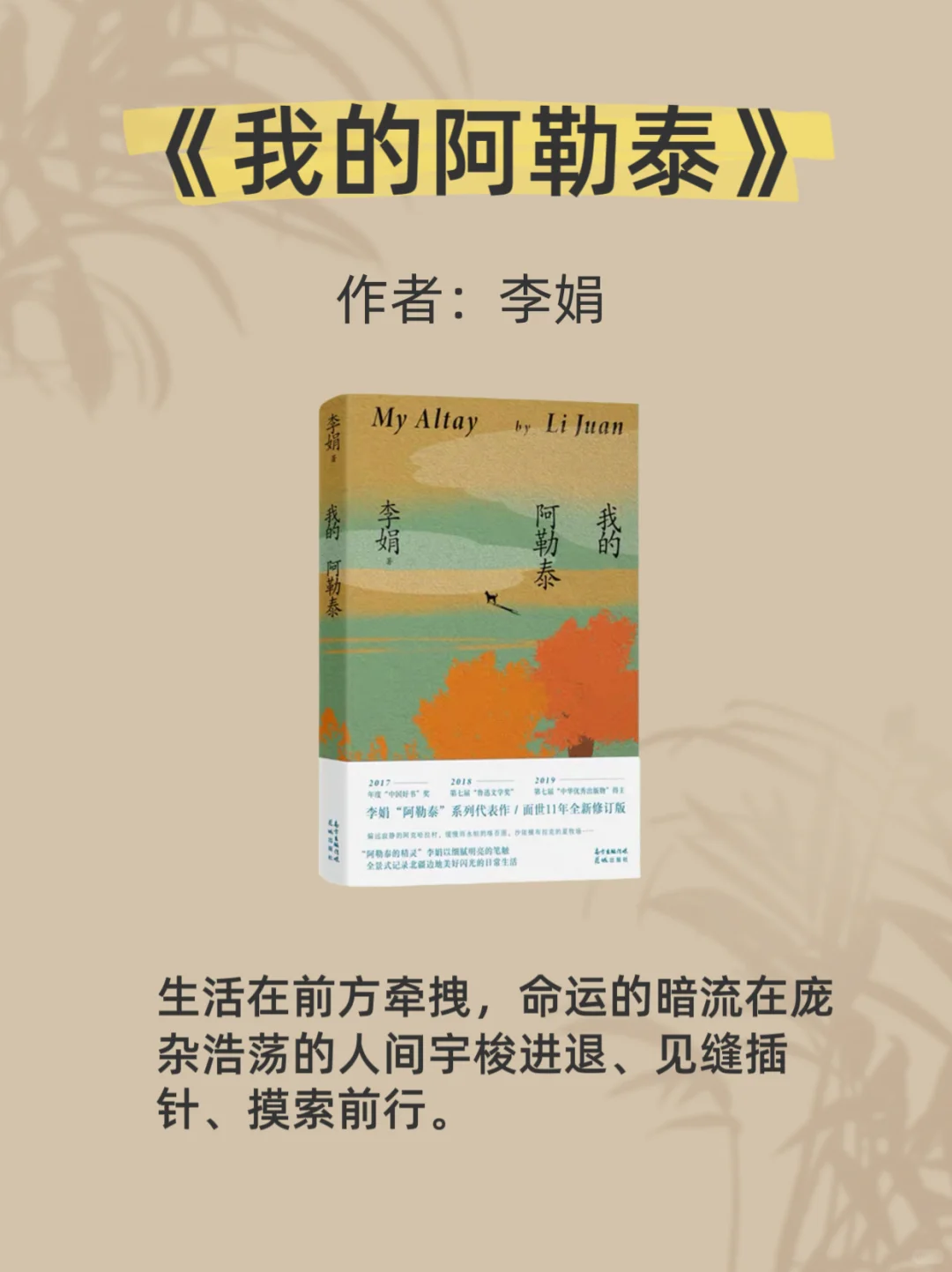 2025推荐好书，读完脑子真的会变快！
