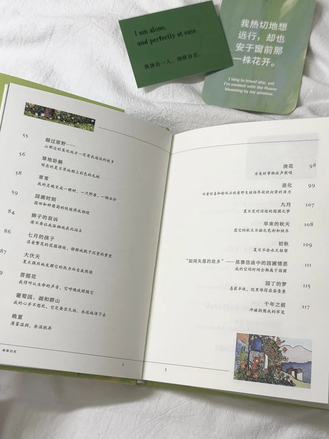 在植物和泥土里，听自由的风。