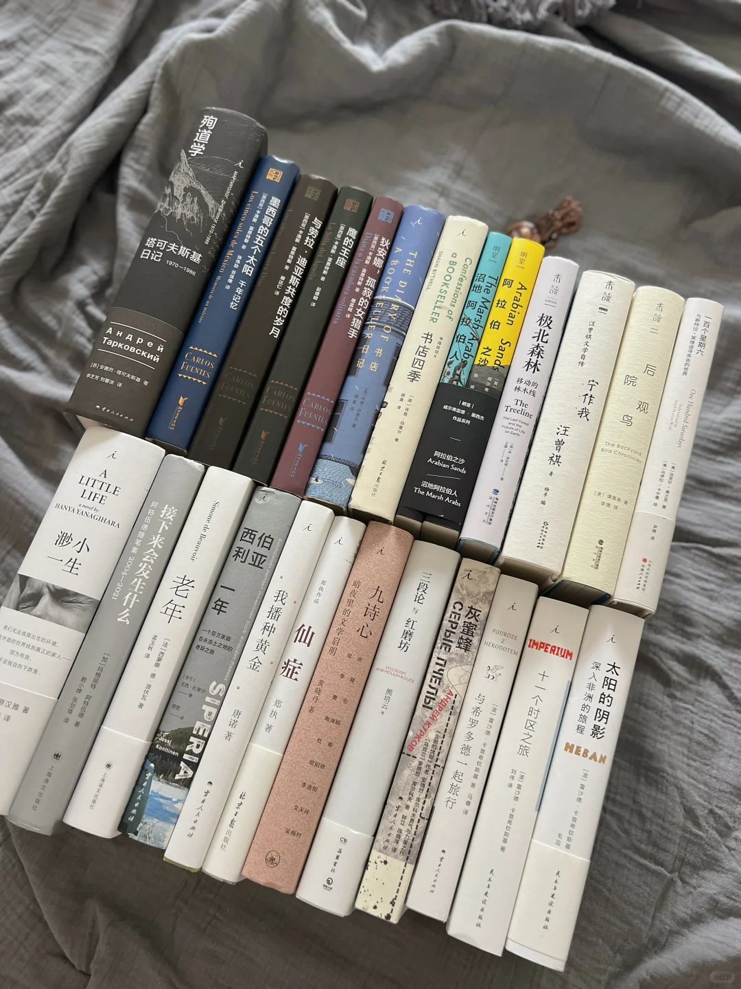 ◻️ 宅家书单 | 阅读让我低着头，却在向上看