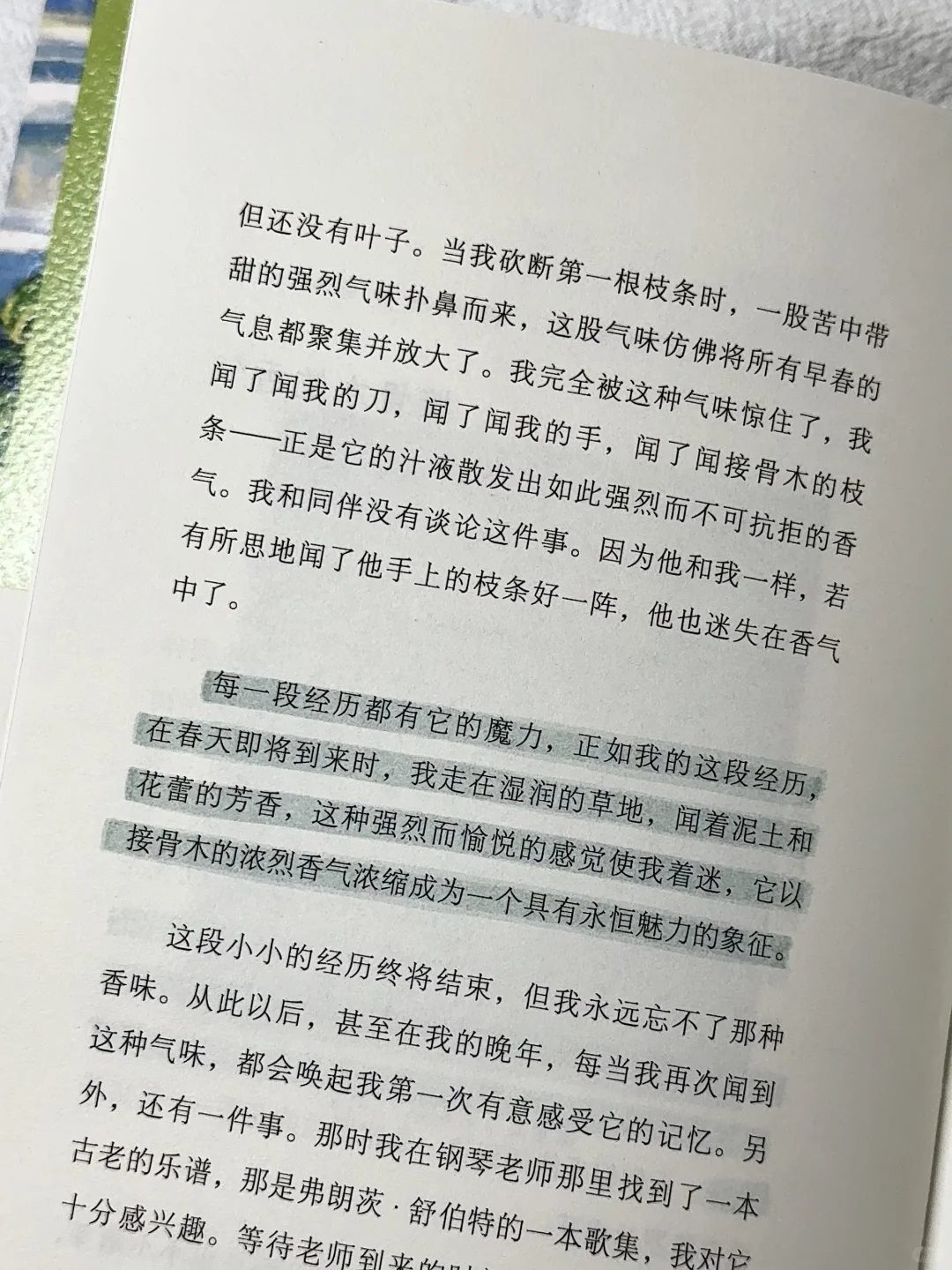 在植物和泥土里，听自由的风。