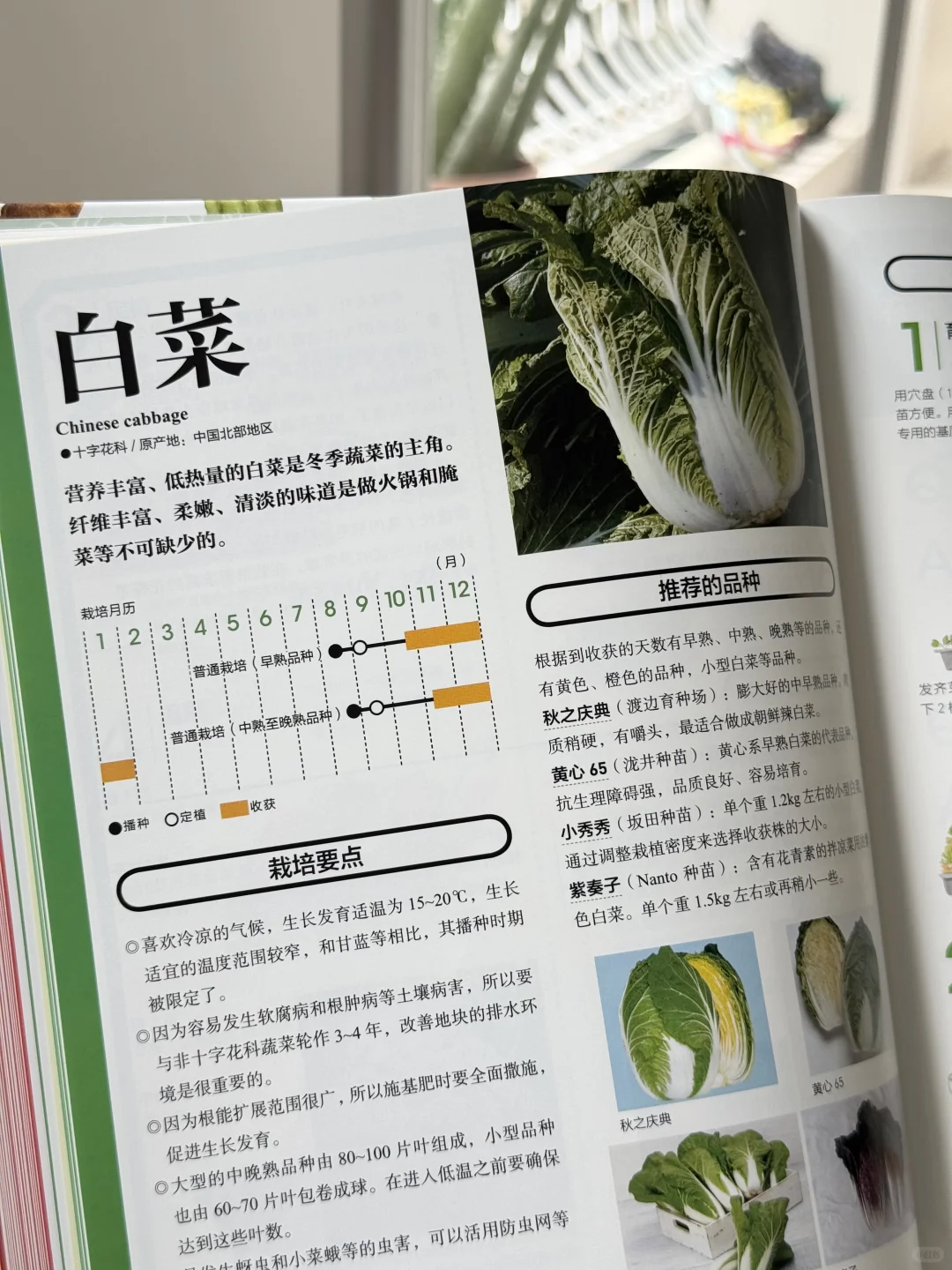 边吃饭边看书，不健康但很快乐
