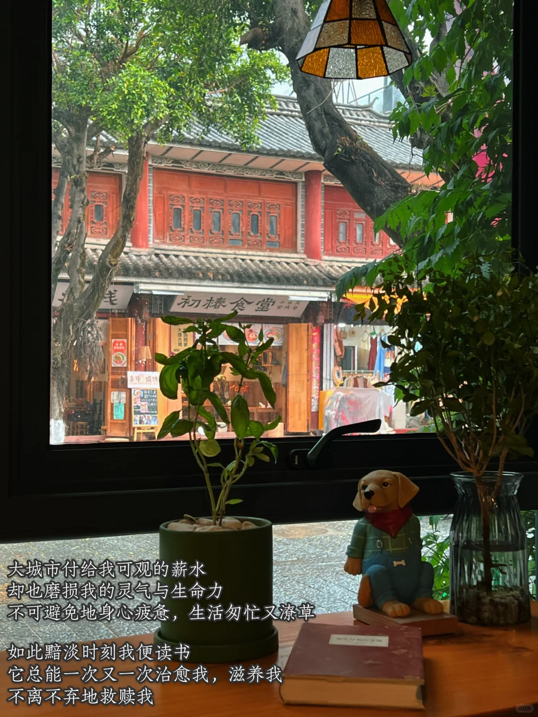 读书是一场短暂的快乐出逃