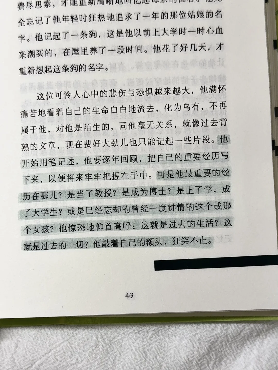 在植物和泥土里，听自由的风。