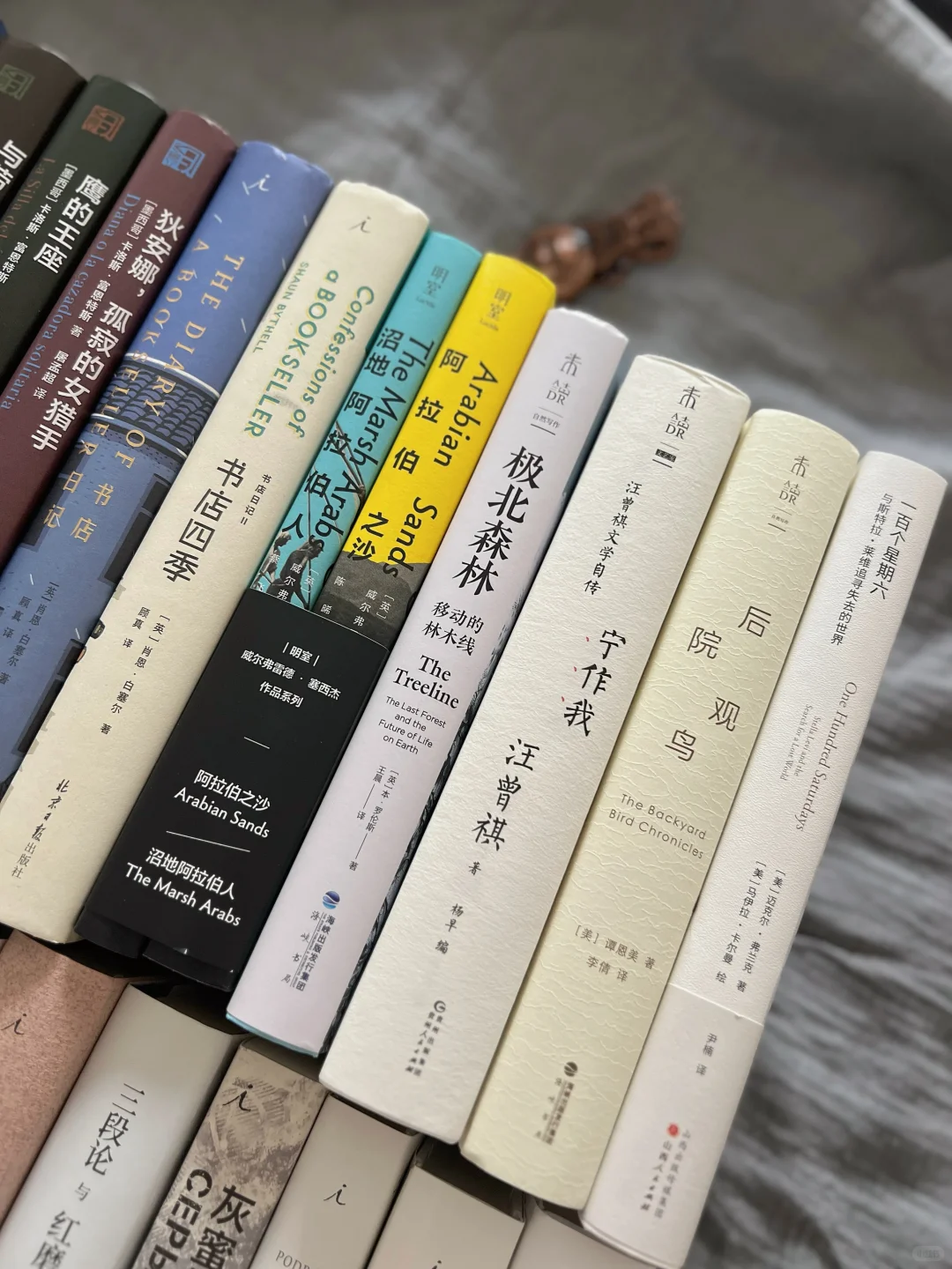 ◻️ 宅家书单 | 阅读让我低着头，却在向上看