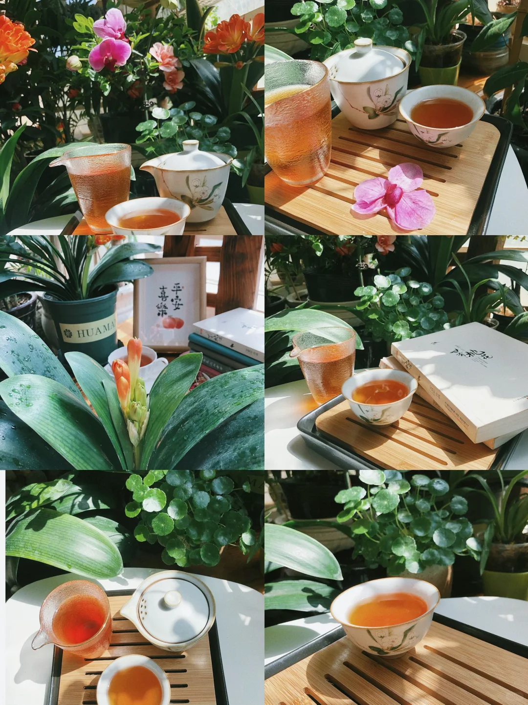 生活/读书独处，给生活一片安静的净土