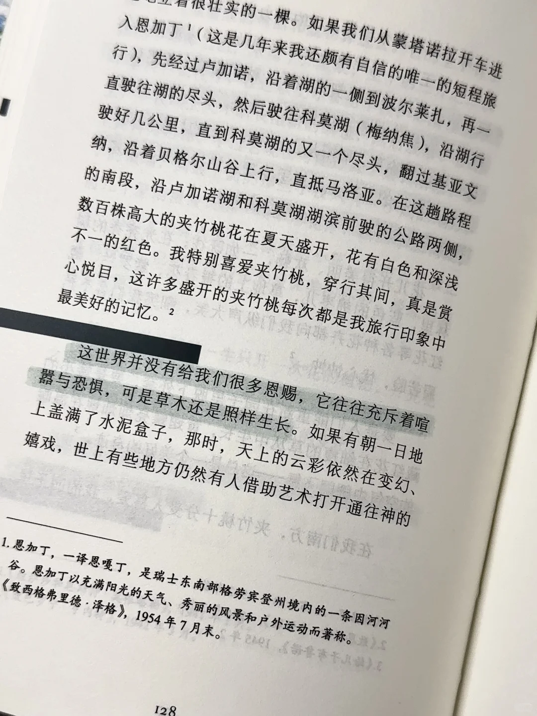 在植物和泥土里，听自由的风。