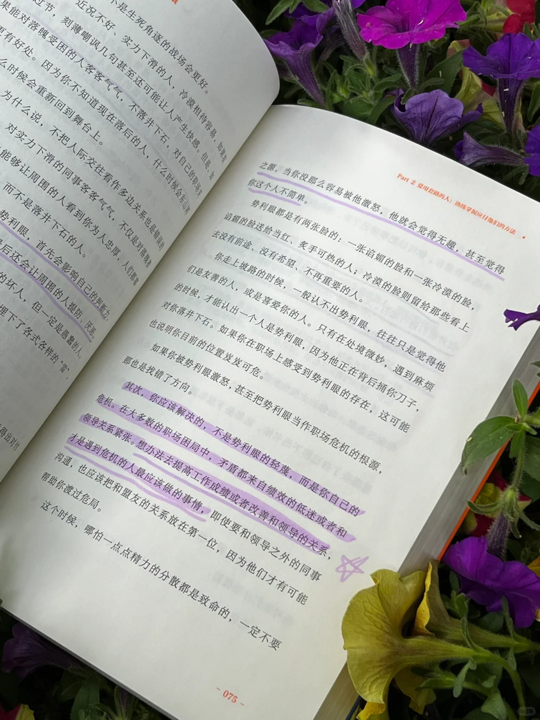 识人攻略🔥让人少走弯路的30个职场锦囊