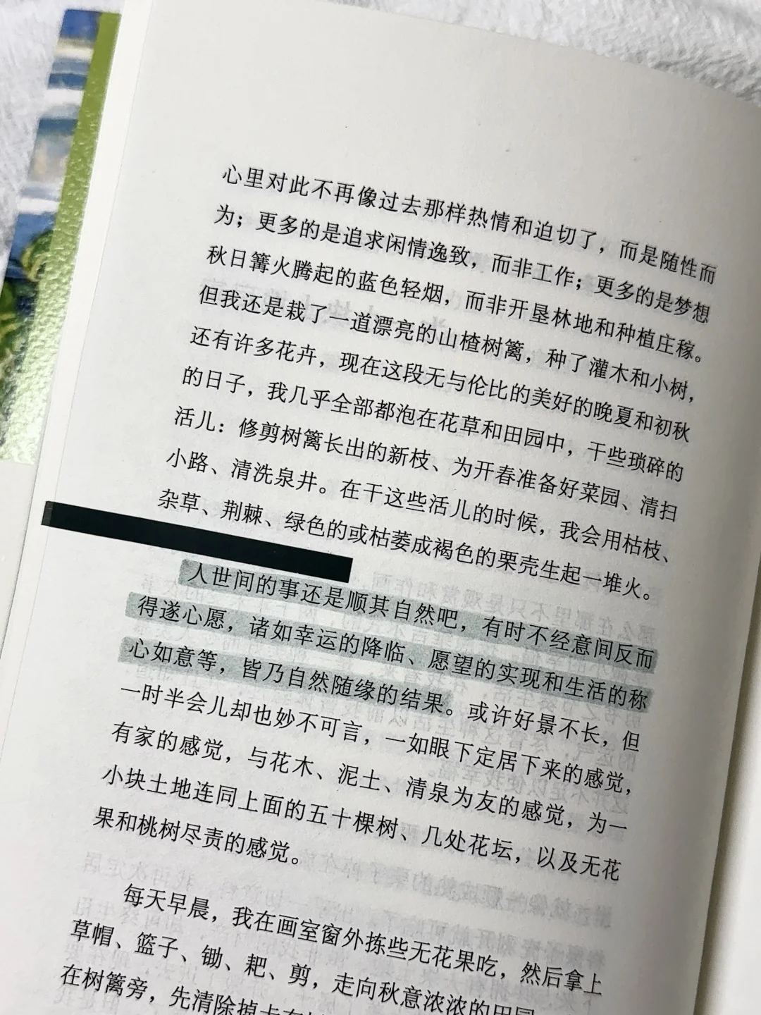 在植物和泥土里，听自由的风。